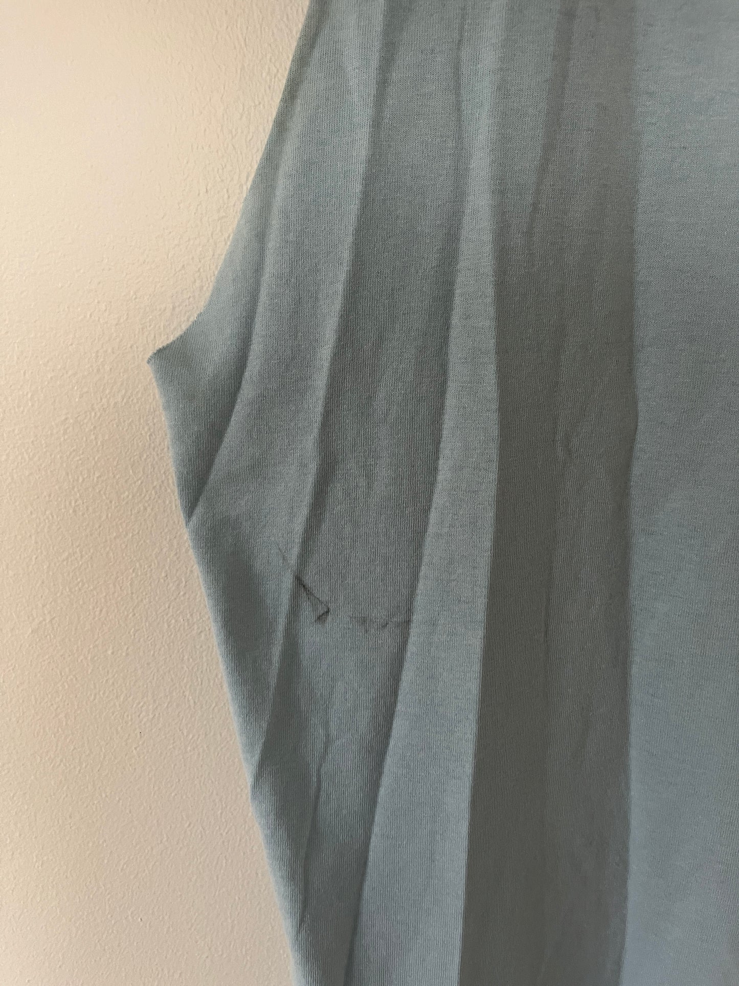Vintage Palmetto Cut Off Tee - 1980’s