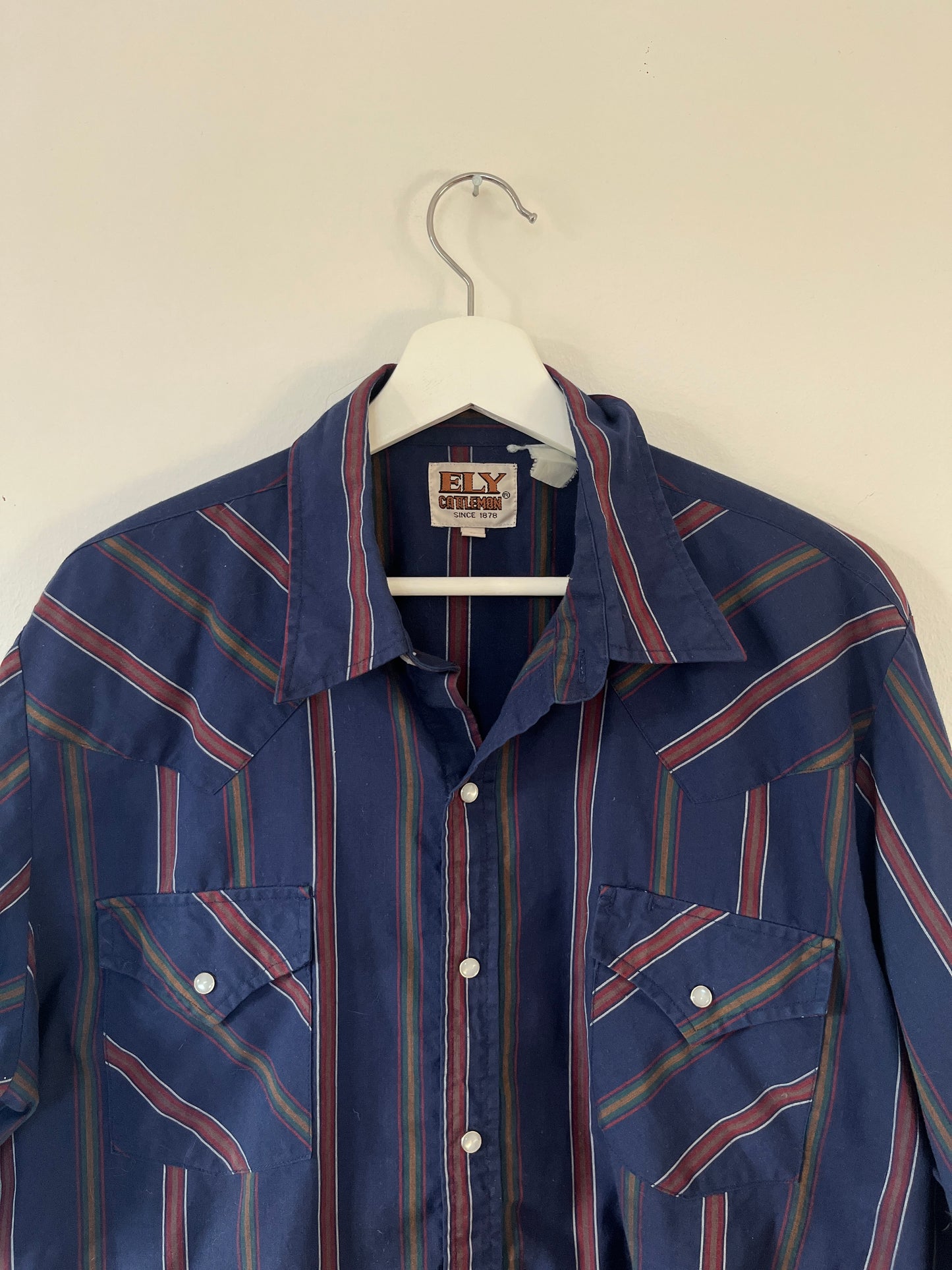 Vintage Western Shirt - 1990s