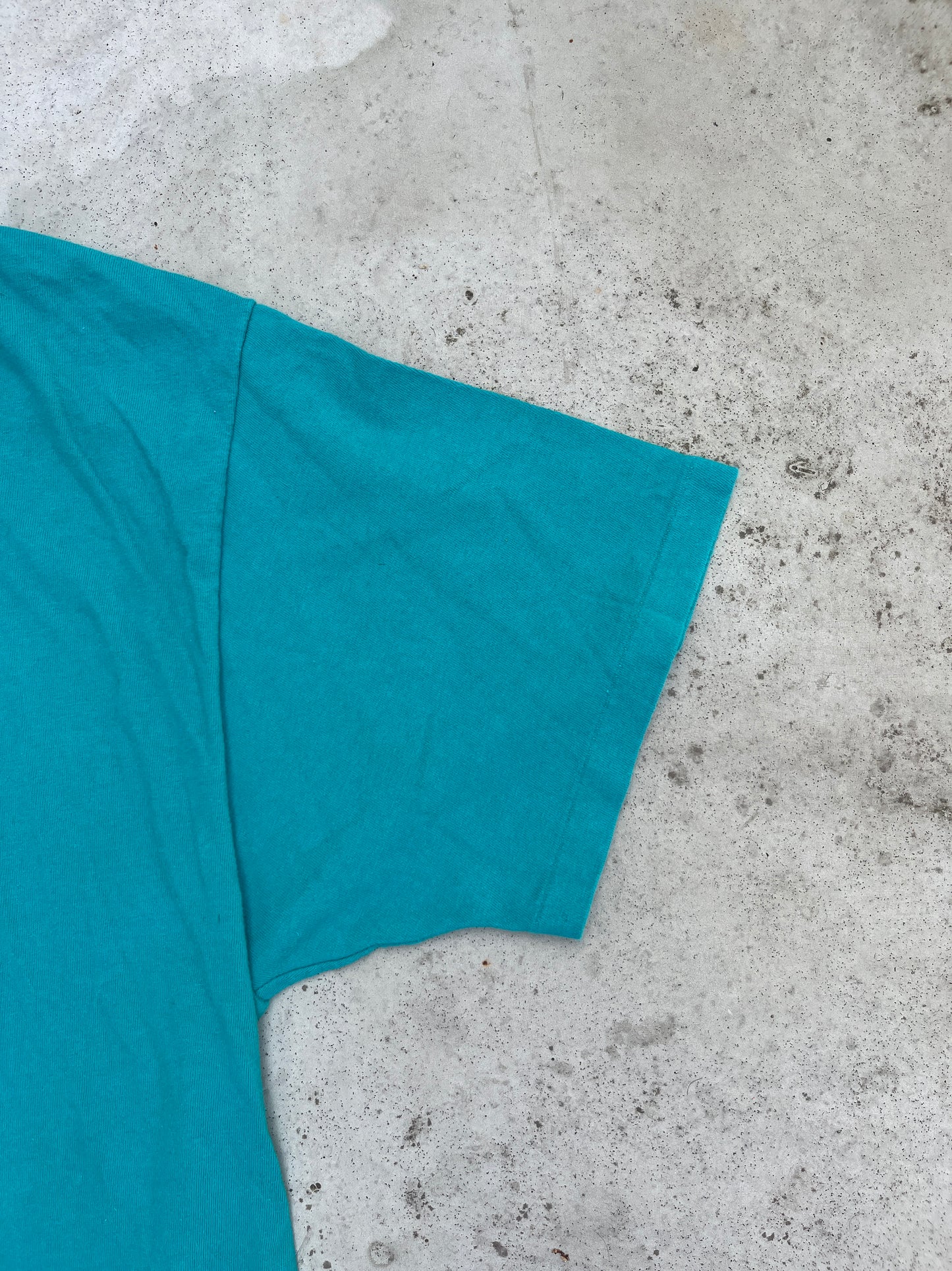 Hanes Beefy "Our Place in the Sun" Vintage Tee