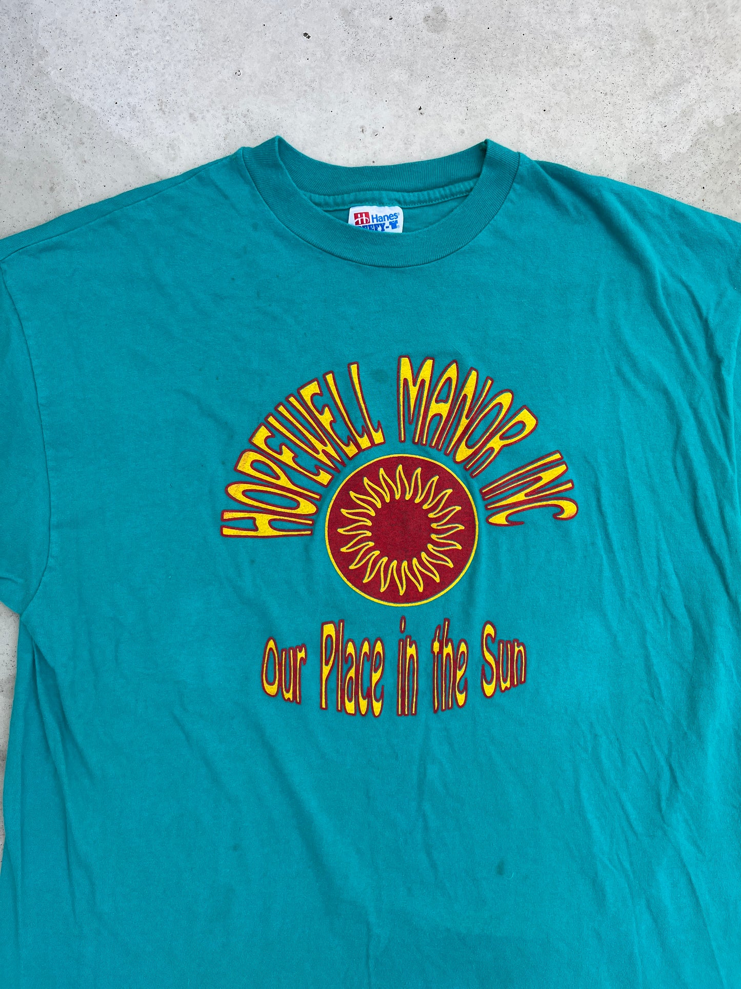 Hanes Beefy "Our Place in the Sun" Vintage Tee