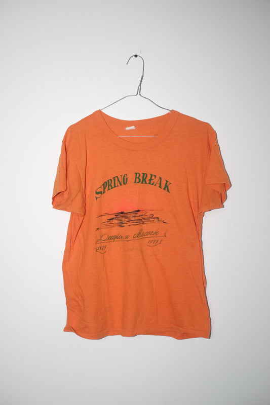 Vintage Spring Break Tee - 1975