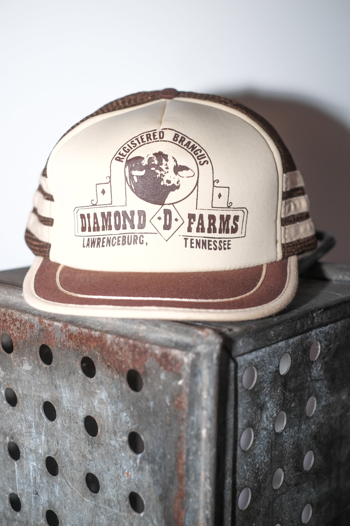 Vintage American Trucker Hat