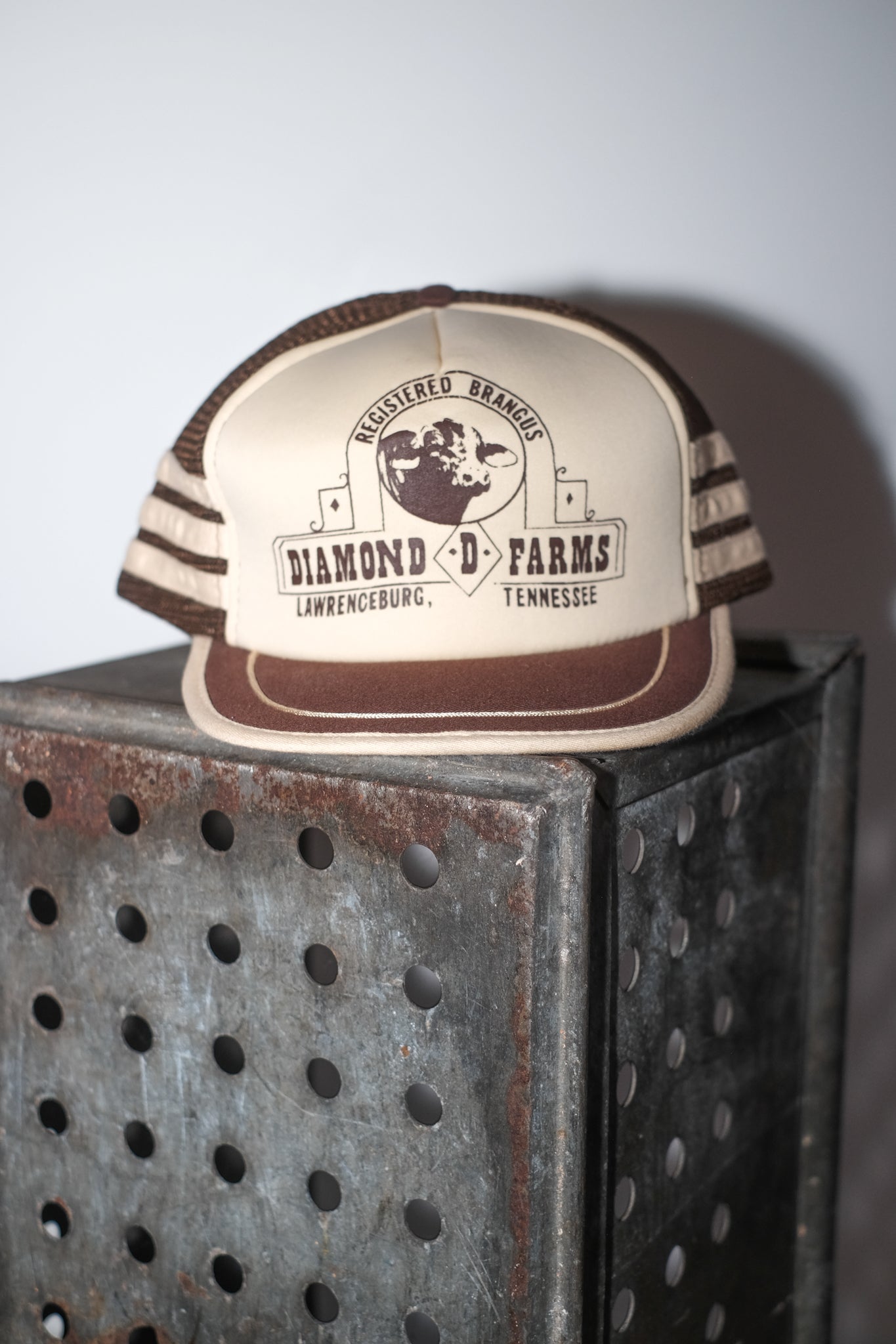 Vintage American Trucker Hat